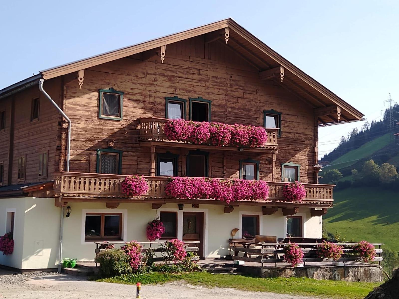 Hintergugg Villa Mittersill Exterior photo